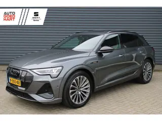 Audi e-tron 50 quattro S-Line 71kWs Panoramadak Camera Leer Elektr.-Stoelen