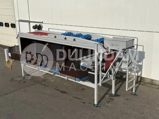 Sormac kettingsorteermachine voor augurken en wortels 13 rijen