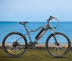 Fafrees F100 20 Inch 350W 48V 11.6Ah Speed 33K 7 Speed Gears