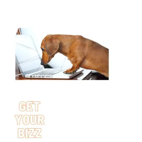 Wij zoeken mensen die willen werken vanuit huis