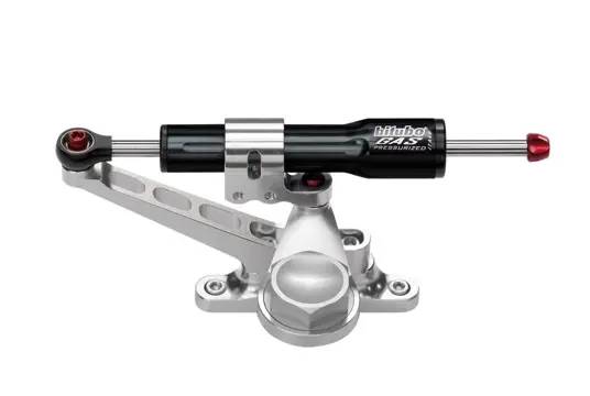 STUURDEMPER Aprilia RSV 1000 2001 - 2003