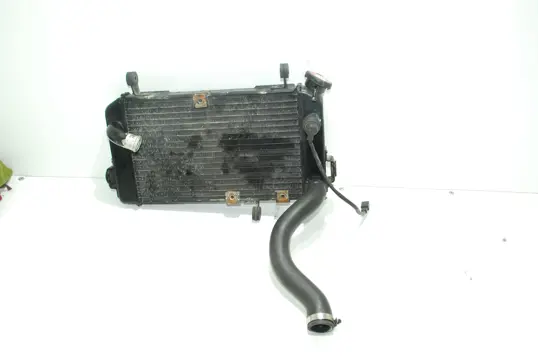 RADIATEUR Suzuki SV 650 1998 - 2002
