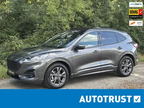 Ford Kuga 2.5 FHEV ST-Line *GEEN STEKKER*Panorama*ACC