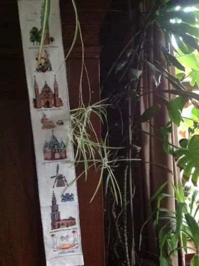 Schellenkoord holland