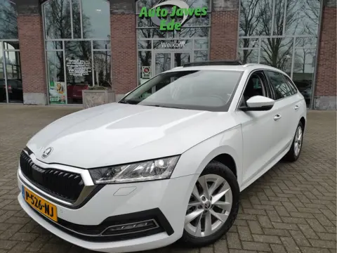 Škoda Octavia Combi 1.0 TSI Business Edition Plus Panoramadak - Blindspot detectie - Adaptieve Cr.co