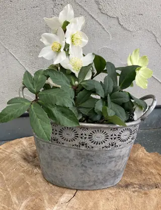 METALEN PLANTENBAKKEN FLOWER DESIGN OVAAL OLD LOOK MAAT M NIEUW