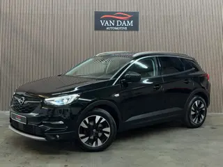 Opel Grandland X 1.2 Turbo Business Executive 2020 LED CAMERA LEDER