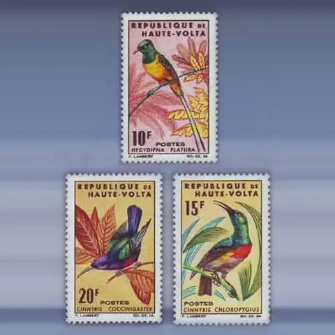 Vogels (1965)