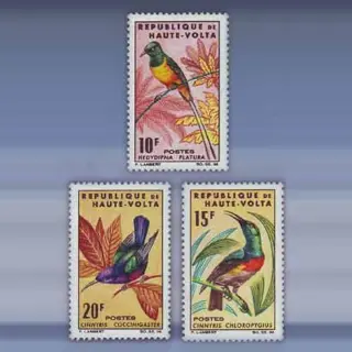 Vogels (1965)
