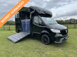 Mercedes-Benz Sprinter 317 AMG 2-paards paardenvrachtwagen B-rijbewijs