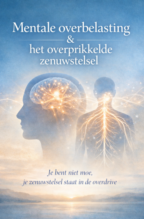 Mentale Overbelasting & Het overprikkeld Zenuwstelsel