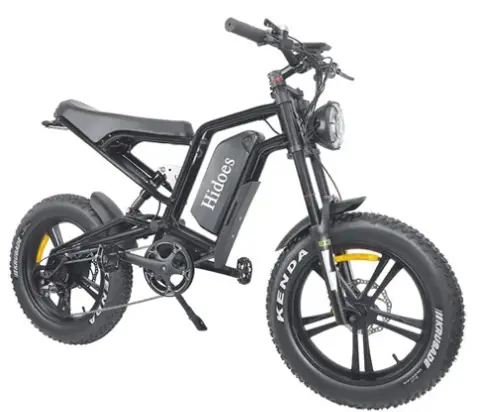 Hidoes B6 All-terrain Electric Bike 20 Inch Off-road