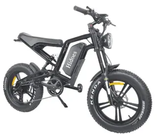 Hidoes B6 All-terrain Electric Bike 20 Inch Off-road