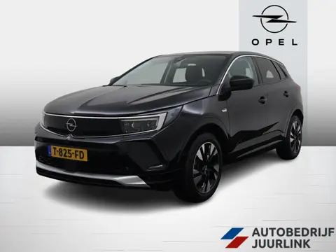 Opel Grandland 1.2 Turbo 130pk Elegance Winterpakket/Nav/Camera /Led/Trekhaak