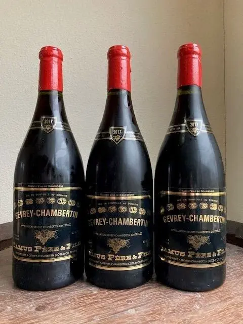 2017 Domaine Camus - Gevrey Chambertin - 3 Magnums (1.5L)