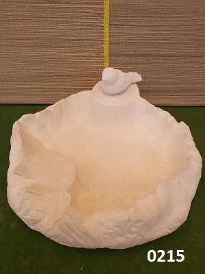 vogelbak boomstam. 0215