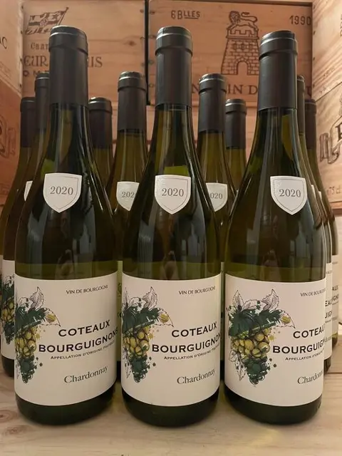 2020 Bourgogne Chardonnay - Bourgondië - 12 Flessen (0.75