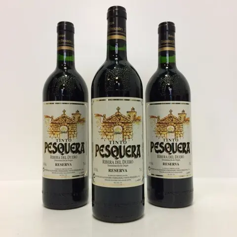2005 Alejandro Fernandez, Tinto Pesquera - Ribera del Duero