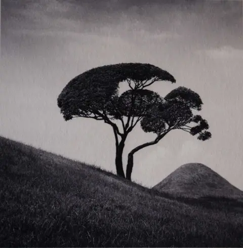 Michael Kenna (1953) - Tree and Mountain, Kumamoto, Kyushu