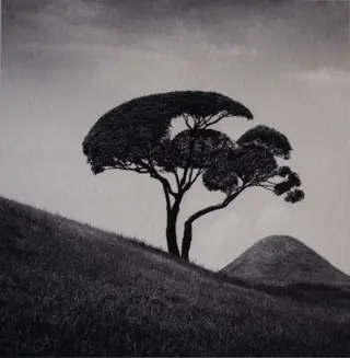 Michael Kenna (1953) - Tree and Mountain, Kumamoto, Kyushu