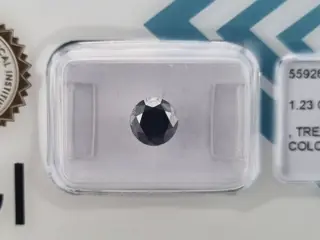 1 pcs Diamant - 1.23 ct - Briljant - ** NO RESERVE PRICE **