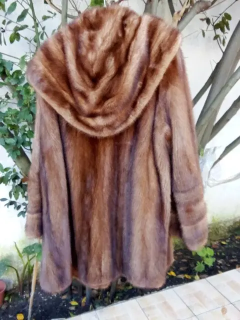 Pierre Balmain Bontjas