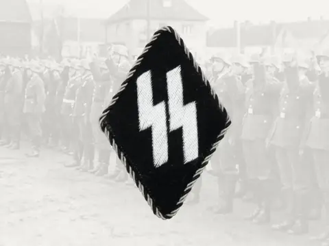 Embleem,Badge,Arm,Waffen,SS,Vlaanderen,Belgie,WWII