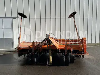 Struik 4RF/310 ruggenfrees 4 x 75 cm