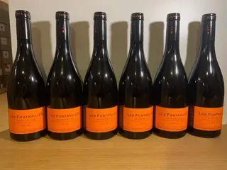 2019 Domaine Anne gros &amp; Jean Paul Tollot "Les