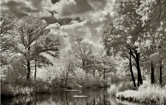 Hans Vos - Pond, Nature in infra-red