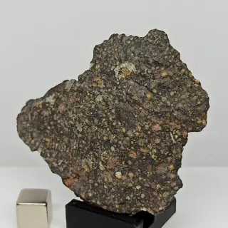 Exclusieve meteoriet NWA 13573. De eerste ter wereld