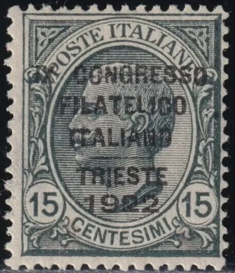 Koninkrijk Italië 1922 - 9th Trieste Philatelic Congress, 15 c. grey, centred, rare, with multiple experts’ reports - Sassone n.123