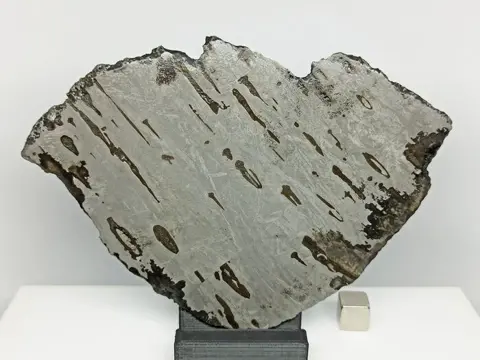 XL DRONINO -ATAXITE iron Meteorite- (Rusland, 2000).