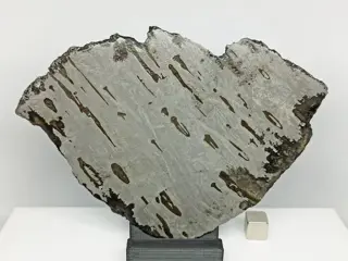 XL DRONINO -ATAXITE iron Meteorite- (Rusland, 2000).