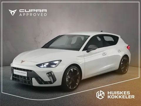 CUPRA Leon Business 1.5 TSI eHybrid 204pk DSG Automaat Adaptive cruise control, Achteruitrijcamera, 