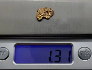 Goud natuurlijk goudklompje Australië - 1.31 g - (1)