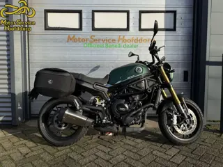 BENELLI  LEONCINO 800 - 2026