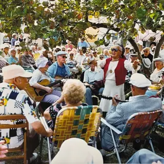 Andy Sweet (1953-1982) - Musicians in Lummus Park, Miami