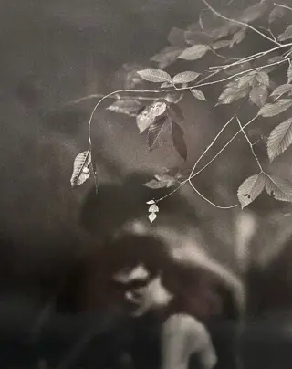 Raymond Meeks (1967) - Furlong freehold, NY 2017