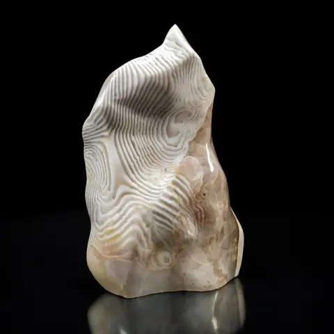 Schitterende Agathe Zebra Vrije vorm - 32.5×21×14.5 cm -