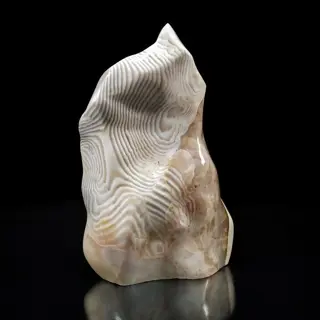 Schitterende Agathe Zebra Vrije vorm - 32.5×21×14.5 cm -
