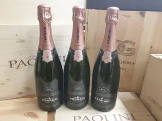 2016 Ferrari, Perlé Rosé - Trentino Riserva - 3 Flessen