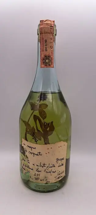 Grappe di Lidia &amp; Romano Levi - In sogno ho sognato -