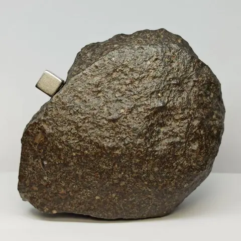 NIEUWE CLASSIFICATIE! NWA 15250 -Geschokt ChondRITE L5-