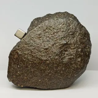 NIEUWE CLASSIFICATIE! NWA 15250 -Geschokt ChondRITE L5-