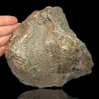 XXL MUSEUM nieuwe "JIKHARRA 001" (Libië, 2022). EUCRITE