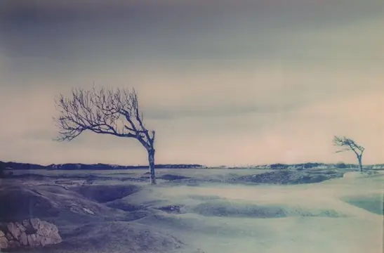 Nathalie Grenzhaeuser (1969) - Omaha Beach