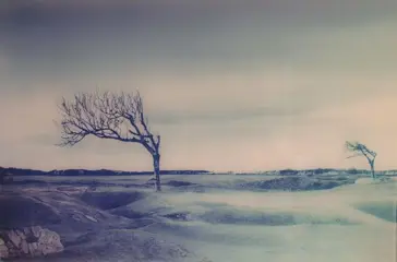 Nathalie Grenzhaeuser (1969) - Omaha Beach