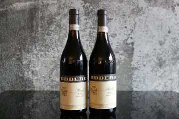 2011 Oddero, Bussia Vigna Mondoca - Barolo Riserva - 2 Flessen (0.75 liter)