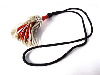 Sabel,Kwast,Nederland,Infanterie,Officier